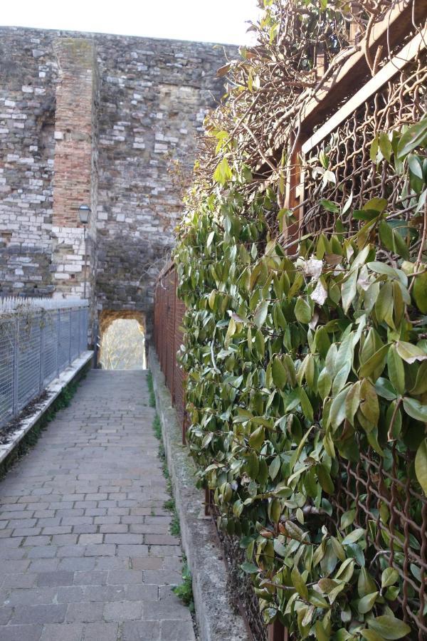 Central- Views - Air Conditioning - Easy Parking -Self Check In Perugia Eksteriør bilde